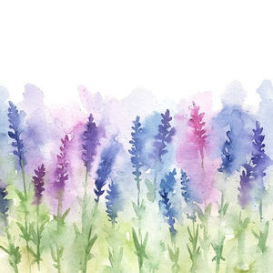 Meet your Posher, Krisi